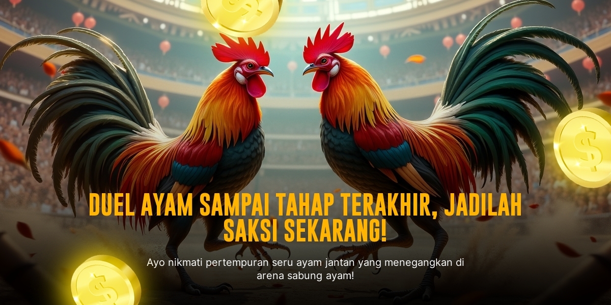 Mengenal Ayam Bangkok: Raja Sabung Ayam dengan Peluang Menang Besar