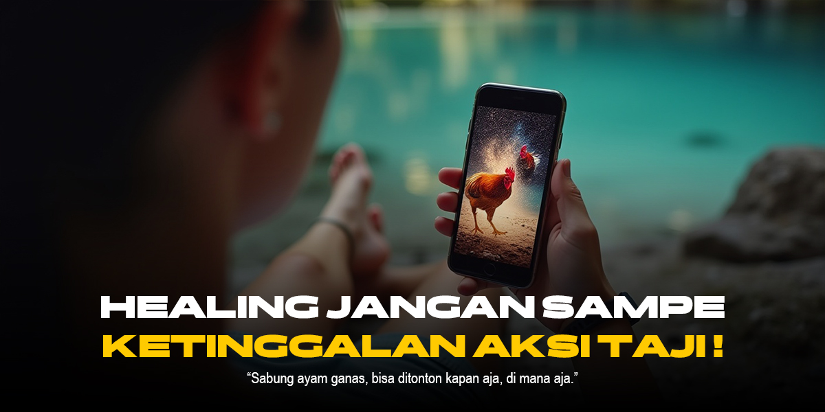 Pahami Jenis-Jenis Ayam Aduan Terbaik di Sabung Ayam SV388