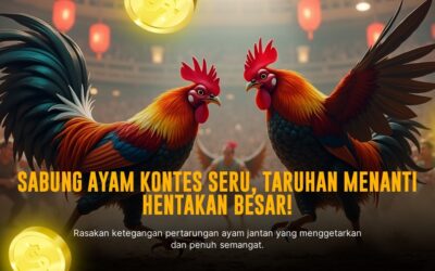 Mengenal Ayam Bangkok: Raja Sabung Ayam yang Mendominasi Arena